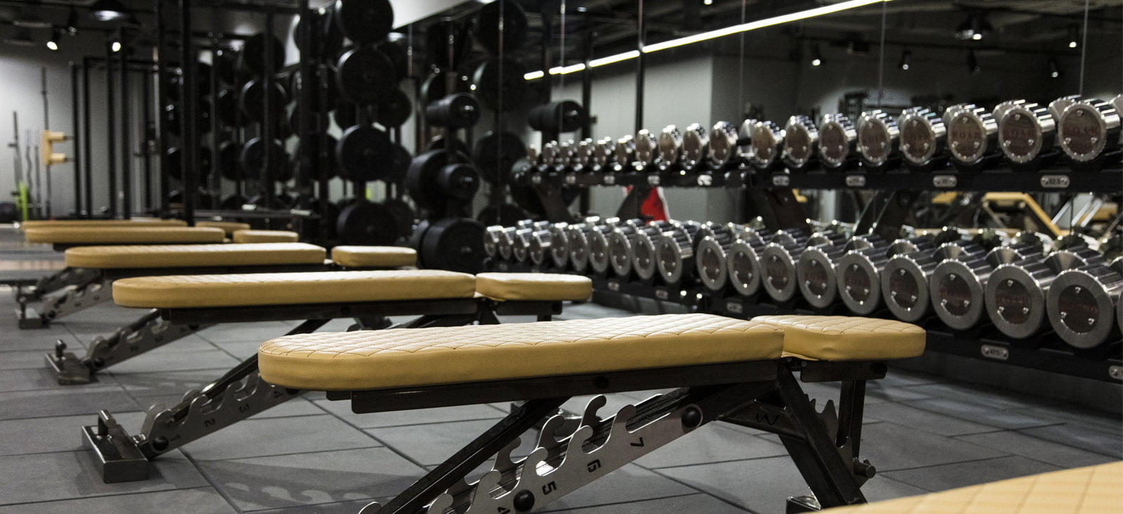 roar fitness bank gym