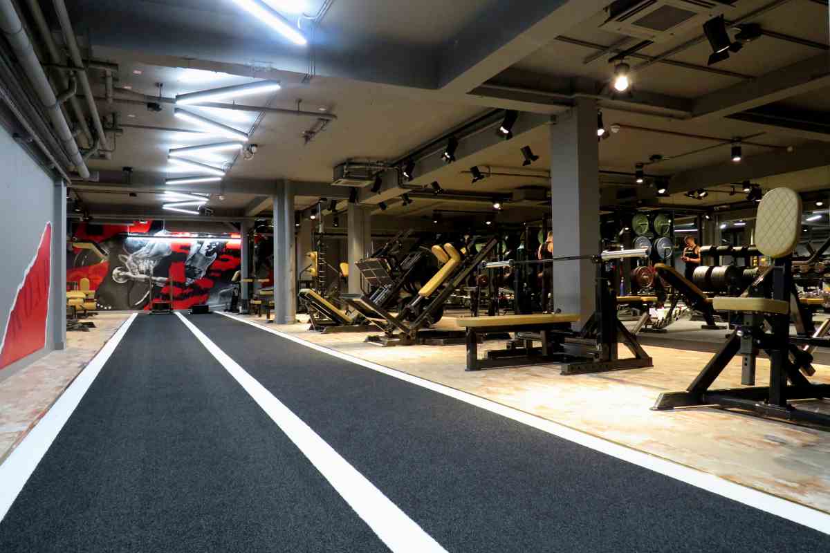 Strength training equipment Roar Fitness Kensington London