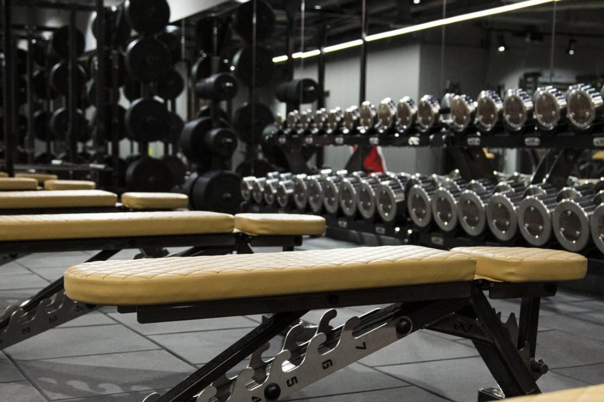 Cardio training area with dumbbells at Roar Fitness London